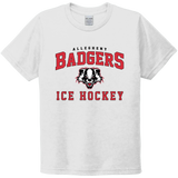 Scary Badgers Youth Tri-Blend Tee