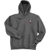 Scary Badgers Super Heavyweight Fleece Hoodie