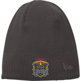 Danville Iron New Era Knit Beanie