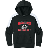 Allegheny Badgers Youth Sport-Wick Fleece United Pullover Hoodie