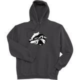 Allegheny Badgers Super Heavyweight Fleece Hoodie